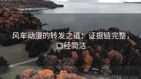 风车动漫的转发之道：证据链完整，口径简洁