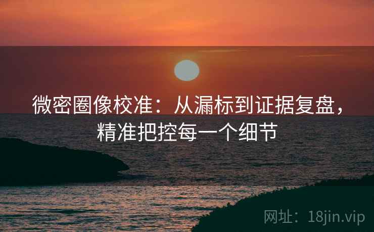微密圈像校准:从漏标到证据复盘,精准把控每一个细节 微密圈像校准:从漏标到证据复盘,精准把控每一个细节
