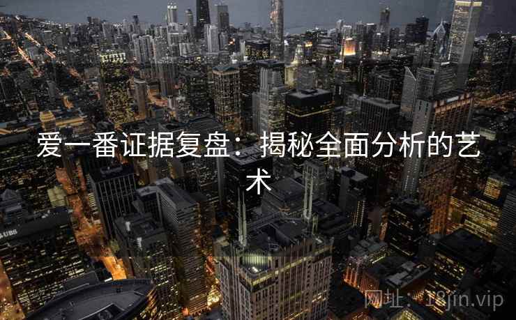 爱一番证据复盘:揭秘全面分析的艺术 爱一番证据复盘:揭秘全面分析的艺术