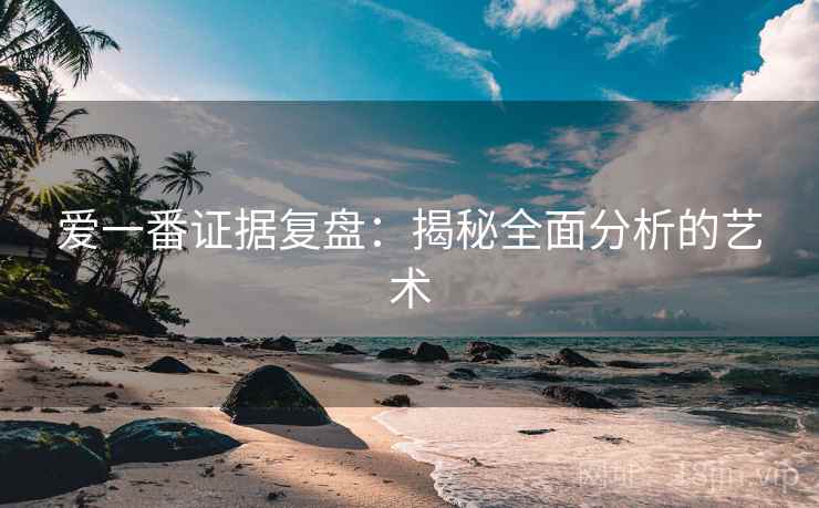 爱一番证据复盘:揭秘全面分析的艺术 爱一番证据复盘:揭秘全面分析的艺术