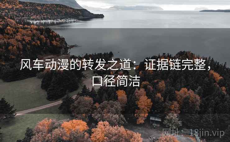 风车动漫的转发之道:证据链完整,口径简洁 风车动漫的转发之道:证据链完整,口径简洁